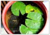 10/Kathmandu 149 (Small).jpg